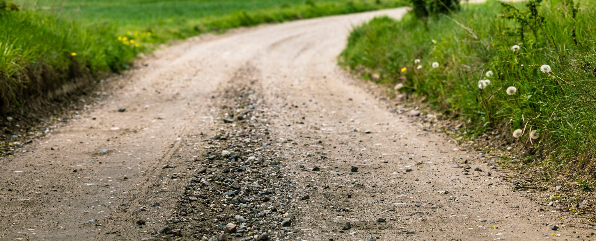 Preparation & Service – The Racing Factory